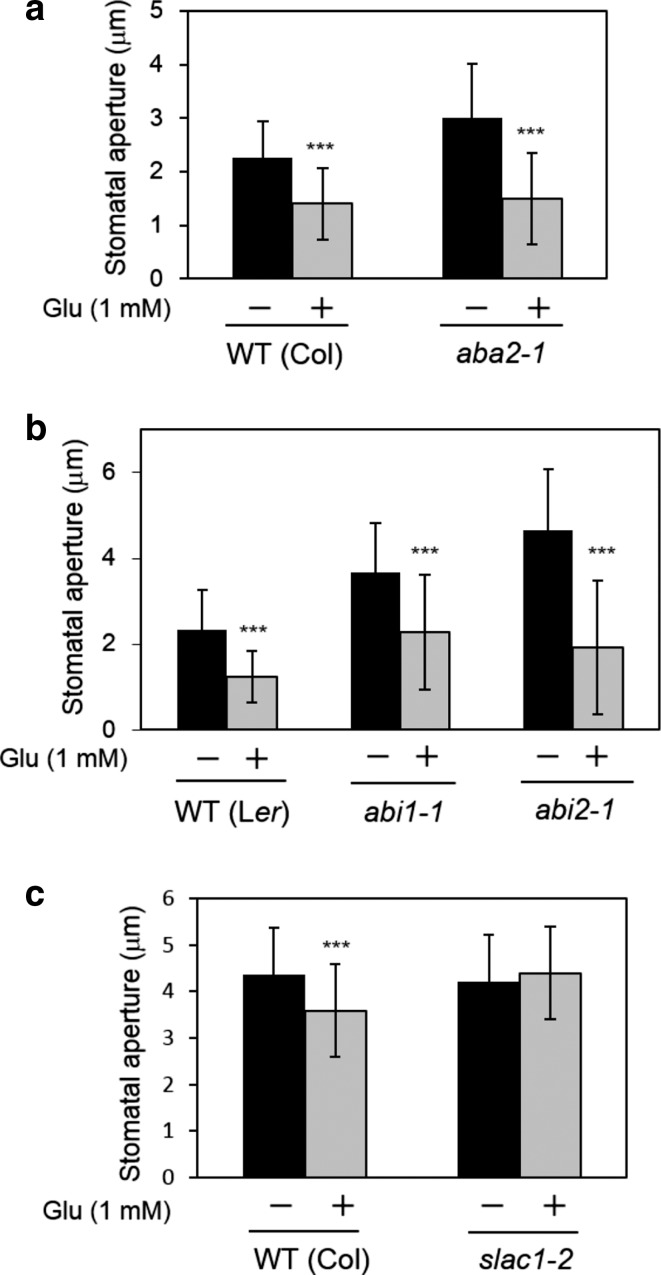 Fig. 7