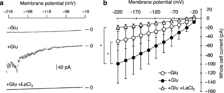 Fig. 4