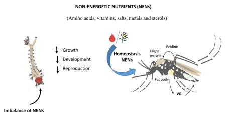 graphic file with name nihms893306u1.jpg