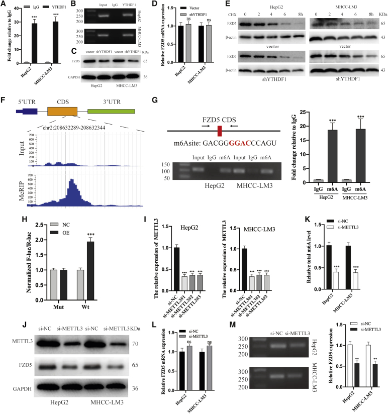 Figure 6