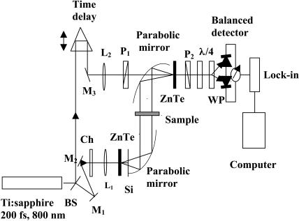 FIGURE 2