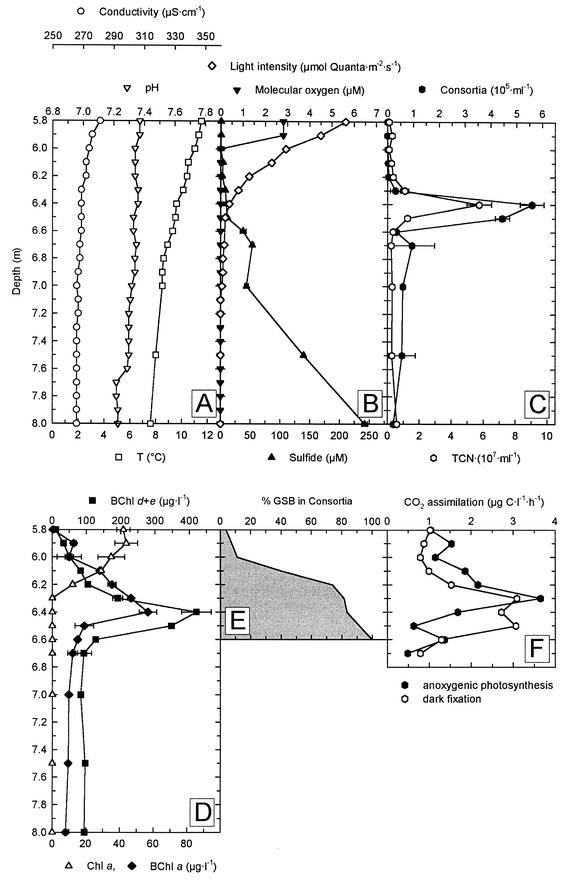 FIG. 2.