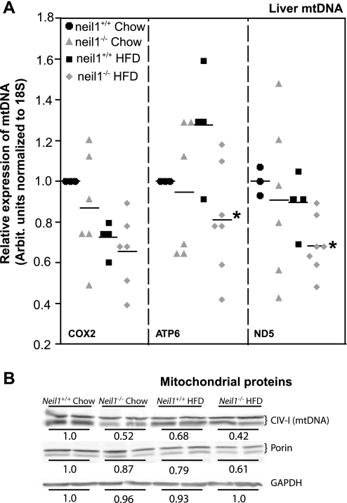 Fig. 8.