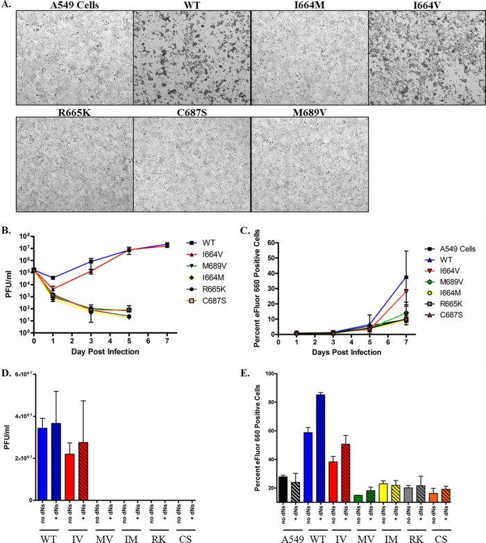 Fig 3