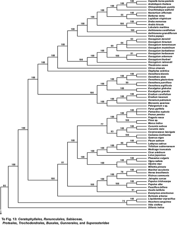 Figure 14