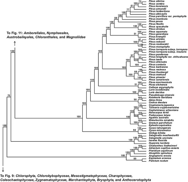 Figure 10