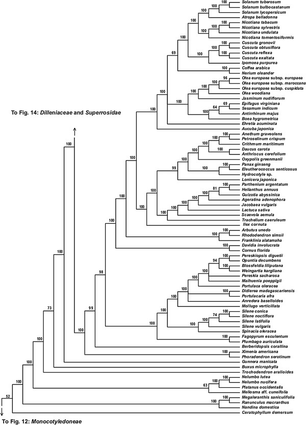 Figure 13