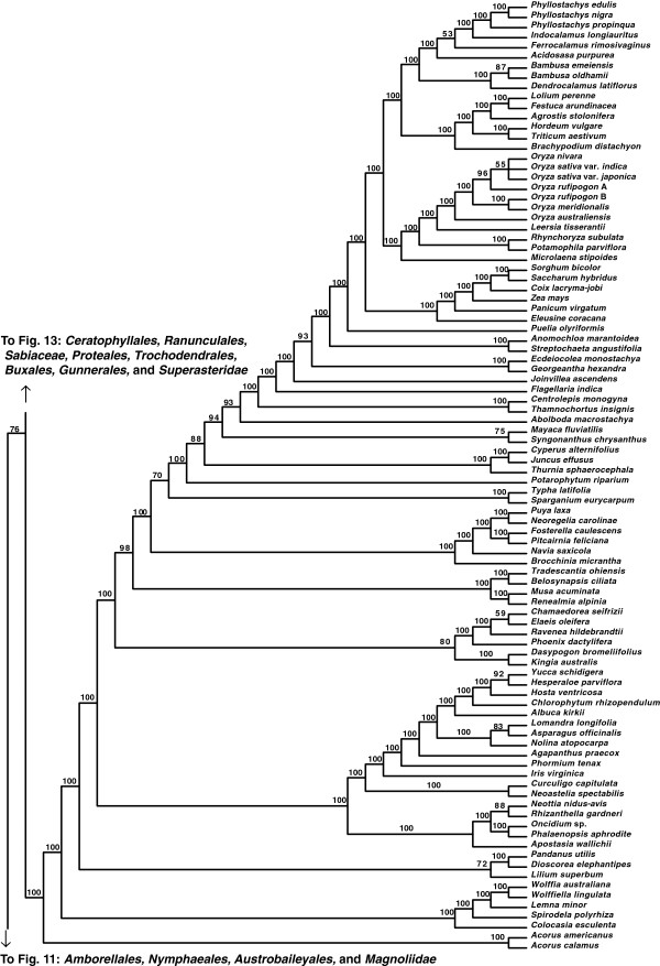 Figure 12