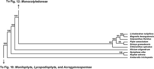 Figure 11