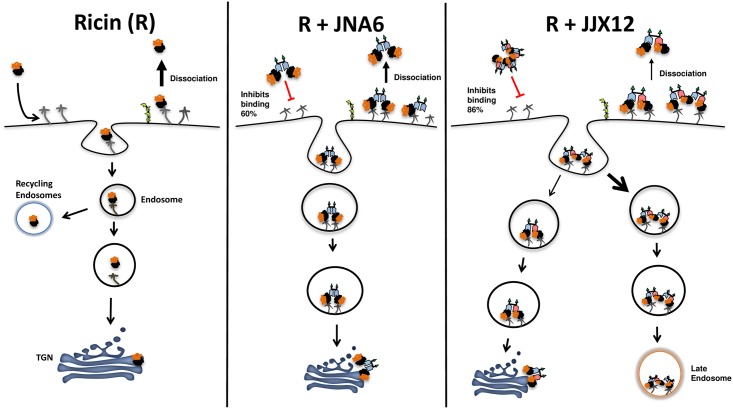 Fig 5