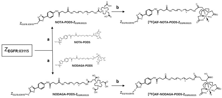 Scheme 2