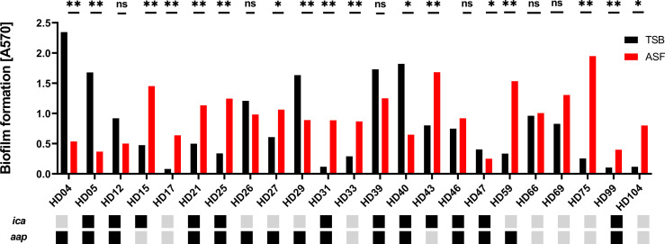 Figure 5