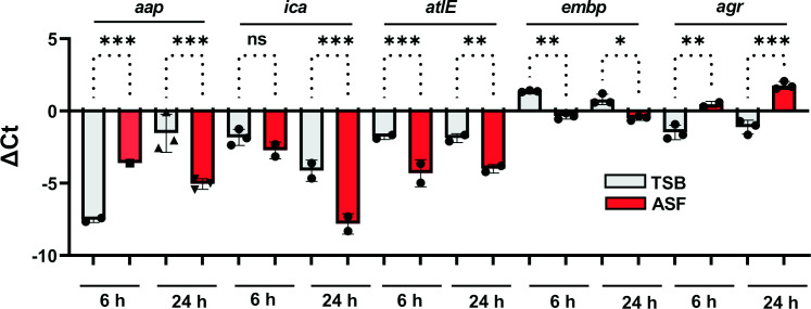 Figure 4