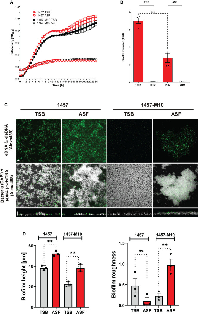 Figure 2