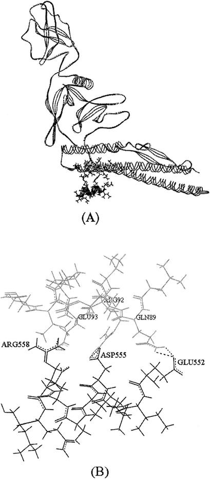 FIG. 3.