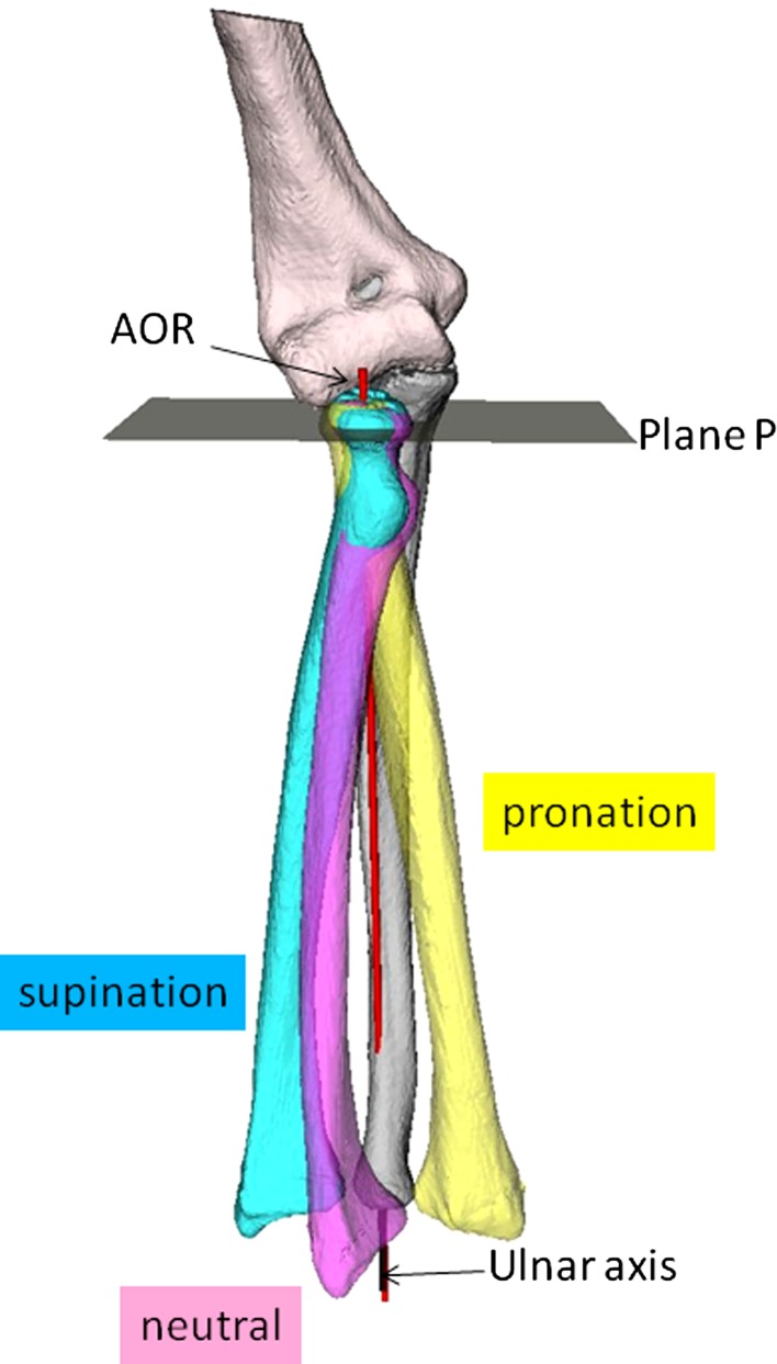 Fig. 1