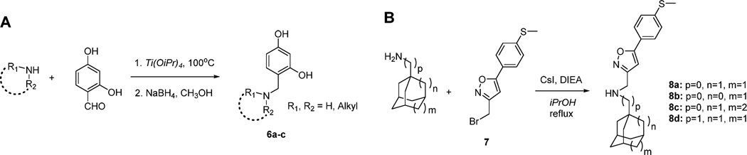 Scheme 1