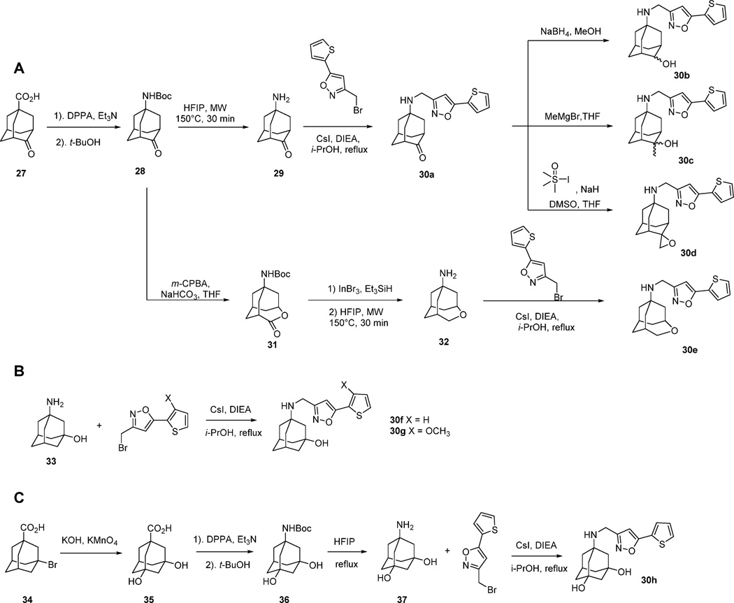 Scheme 4