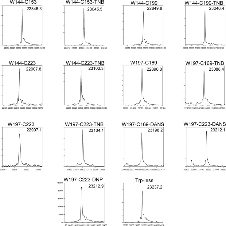 Figure 1—figure supplement 1.