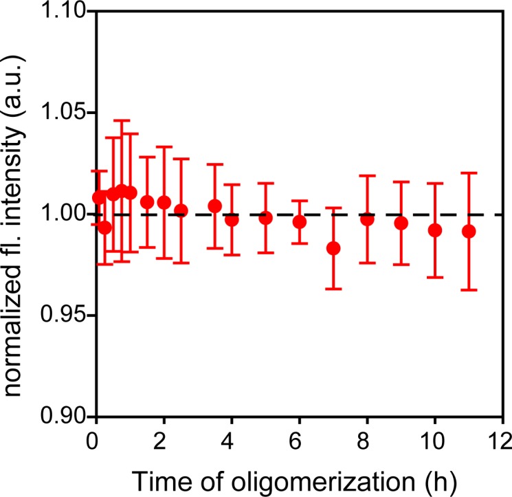 Figure 3—figure supplement 1.