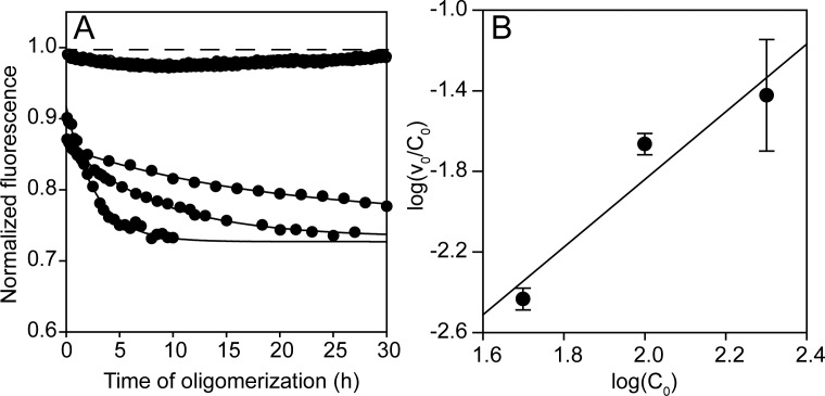 Figure 4—figure supplement 1.