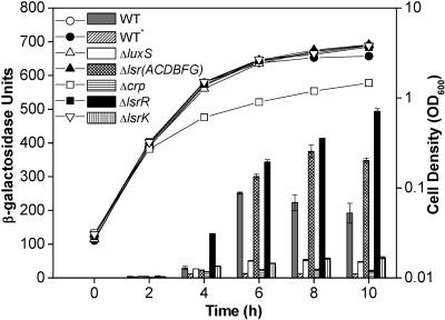 FIG. 3.