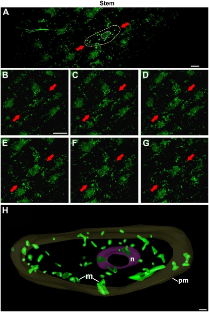 Figure 6.