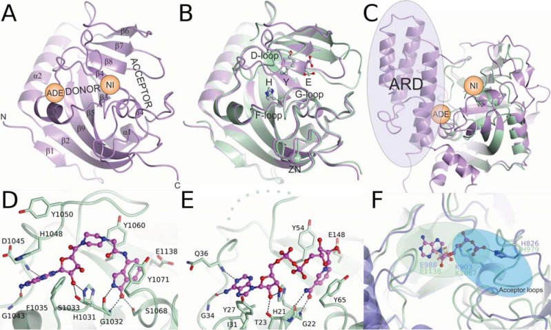 Fig. (3)