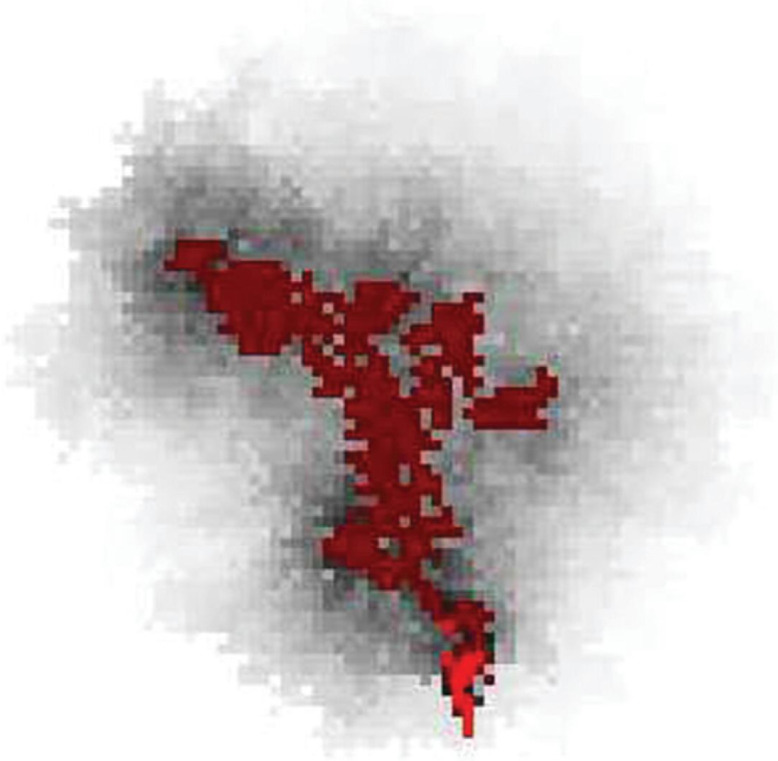 Fig. 16
