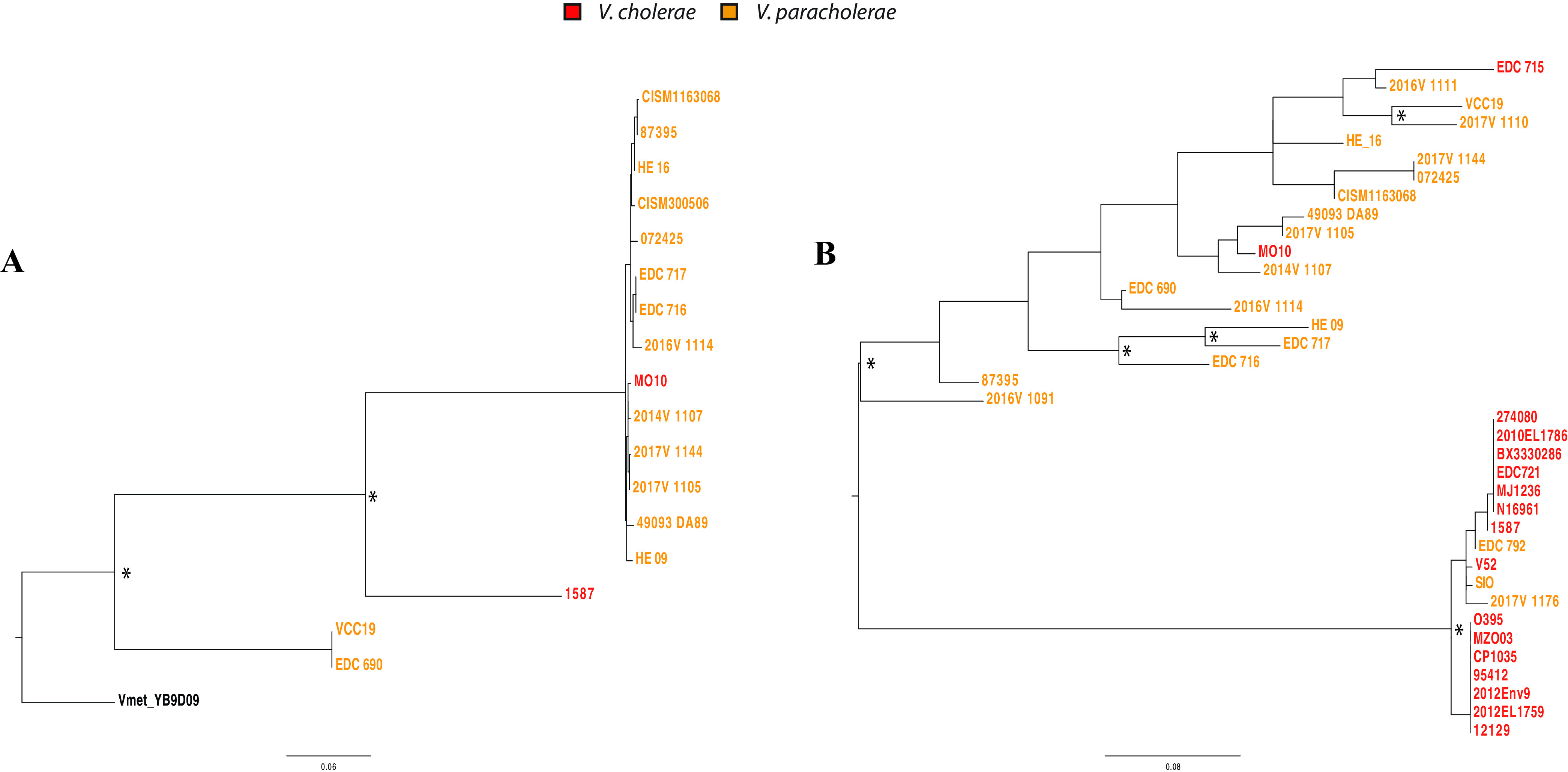 FIG 6