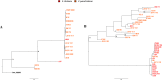 FIG 6