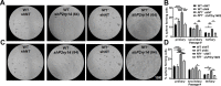 Figure 2—figure supplement 3.