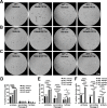 Figure 2—figure supplement 2.