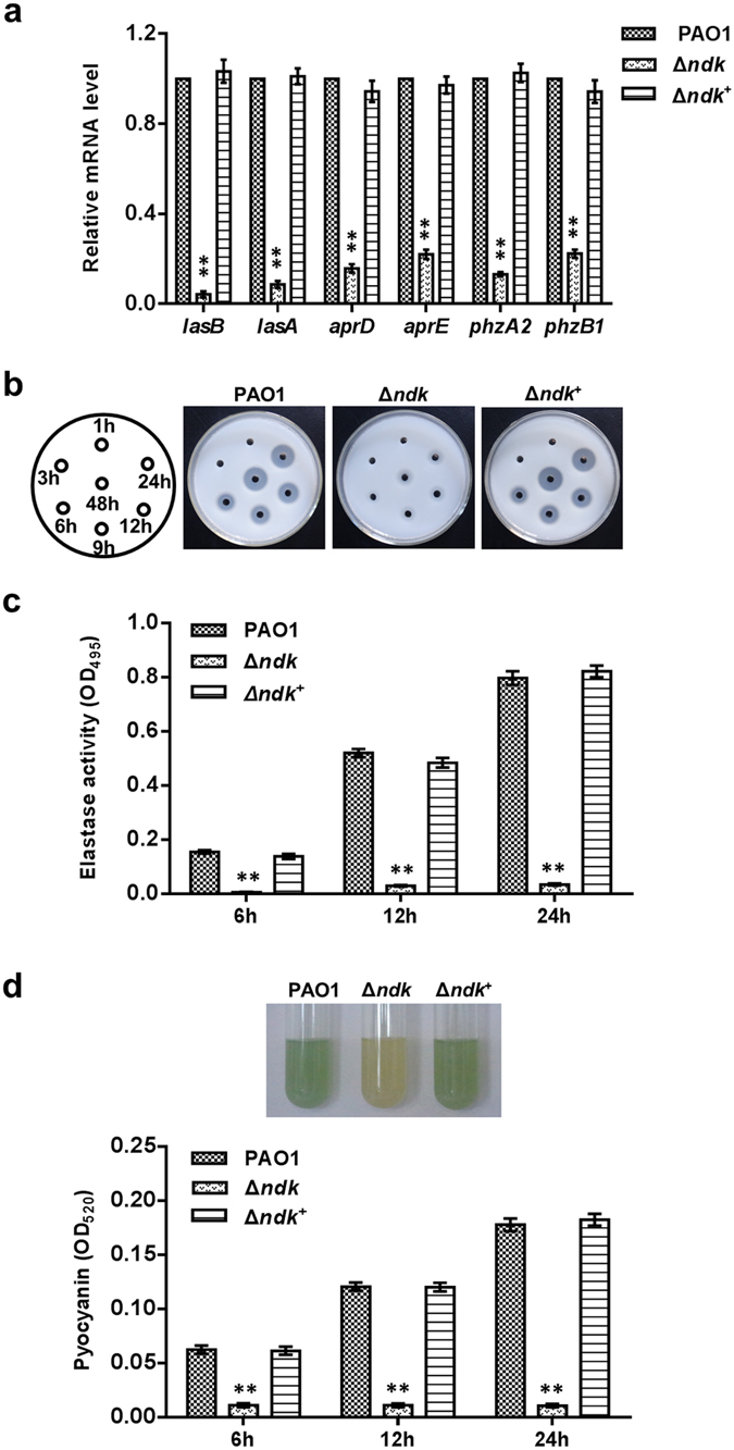 Figure 6