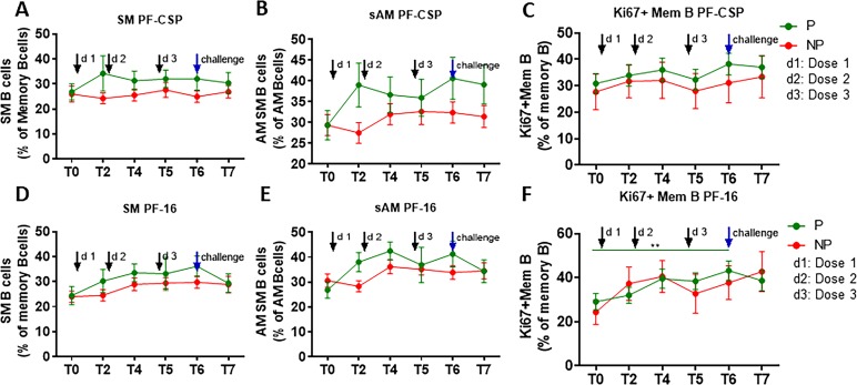 Figure 4—figure supplement 4.