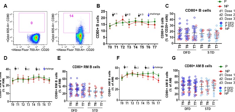 Figure 4—figure supplement 2.