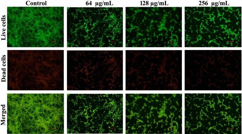 Figure 6