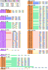 Figure 13—figure supplement 1.