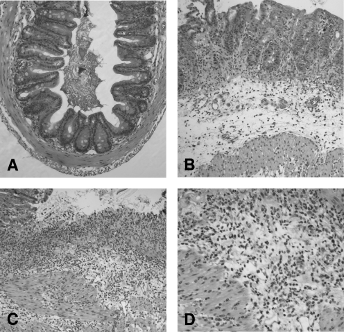 FIG. 5.