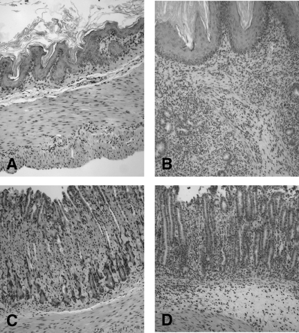 FIG. 6.