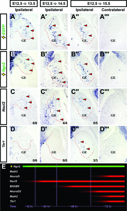 FIG. 4.