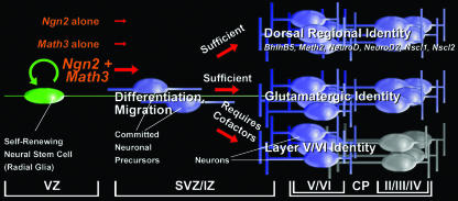 FIG. 8.