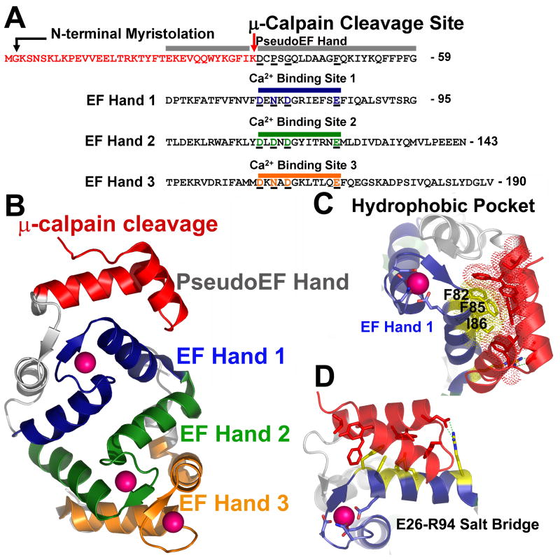 Fig. 4