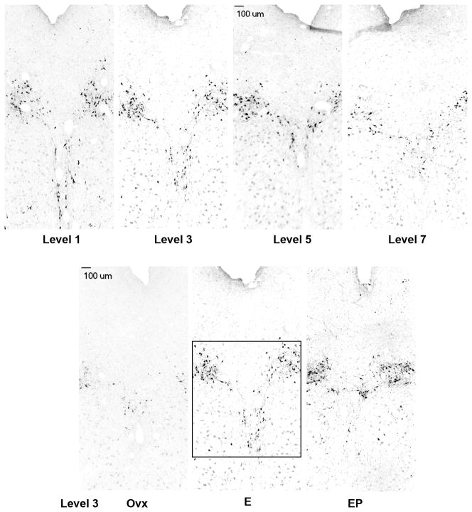 Figure 10