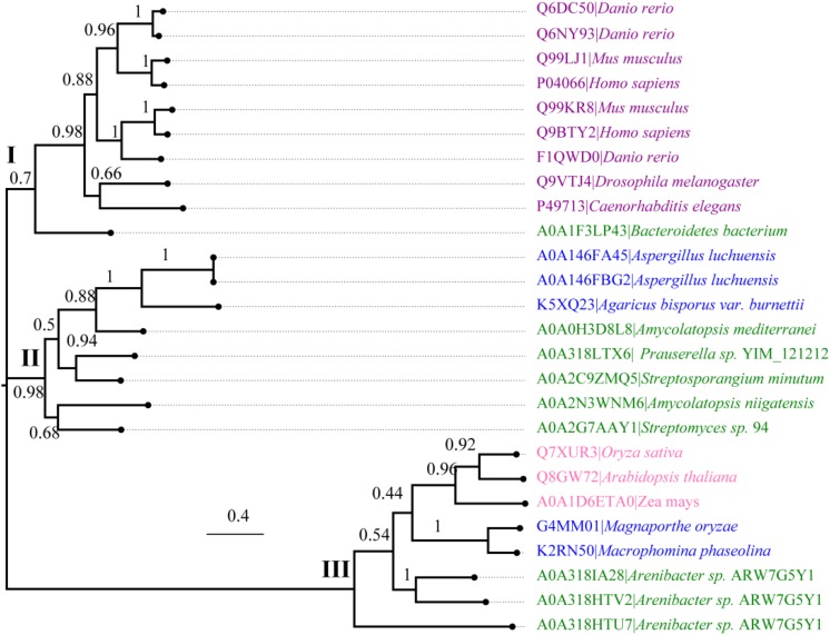 FIGURE 3