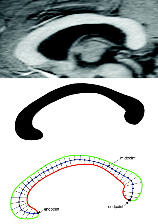 Fig 1.