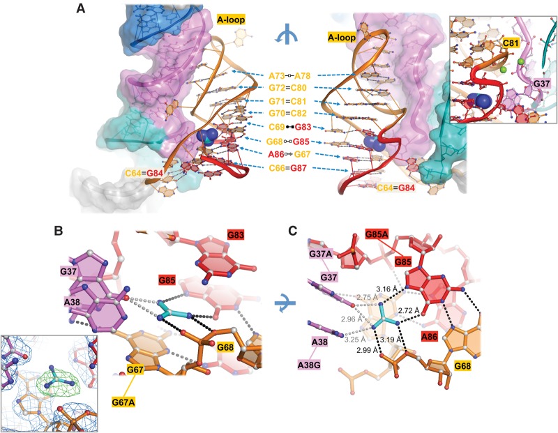 FIGURE 3.