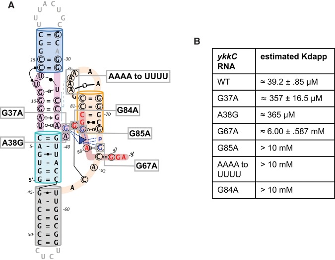 FIGURE 4.