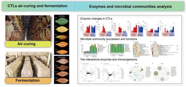 graphic file with name 253_2023_12663_Figa_HTML.jpg