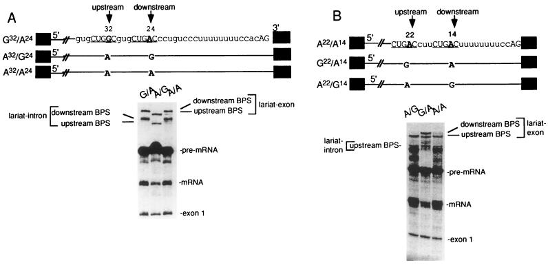 FIG. 7